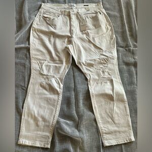 Judy Blue Boyfriend Fit Mid Rise 22W